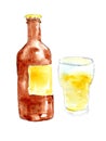 Watercolor hand drawn brown bottle of beer and glass. Illustration of standart bottle with craft ale.
