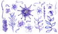 Watercolor hand drawn with brush and blue ink set with different malaysian plants and flowers, isolated on white background. Large Royalty Free Stock Photo