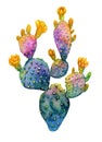 Watercolor hand drawn cactus. Blooming opuntia. Royalty Free Stock Photo