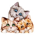 Watercolor Hand Drawn CATs with bow for print, card making, paper, textile, printing, packaging Royalty Free Stock Photo