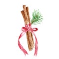 Watercolor hand drawn cinnamon sticks symbol of festive winter holidays-Christmas and New Year