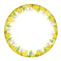 Watercolor hand drawn circle wreath with spring flowers, daffodils, crocus, snowdrops, leaves. Isolated on white