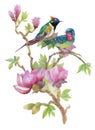 Watercolor hand drawn colorful beautiful flower and birds.