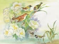 Watercolor hand drawn colorful beautiful flower and birds.