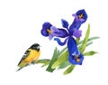 Watercolor hand drawn colorful beautiful flowers and bird.