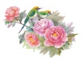 Watercolor hand drawn colorful beautiful flowers and birds.