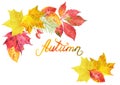 Watercolor hand drawn colorful fall leaves and lettering isolated on white background