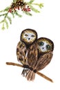 Watercolor hand-drawn couple of forest owls isolated on a white background