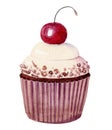 Watercolor hand drawn creamy cupcake with cherry on top isolated on white background Royalty Free Stock Photo