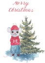 Watercolor hand drawn cute cartoon rat or mouse in red winter sweater and hat with Christmas tree Royalty Free Stock Photo