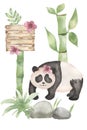 Watercolor hand drawn Cute Panda bear wild animal  in cartoon style card illustration with bamboo,sakura flowers,stone and grass. Royalty Free Stock Photo