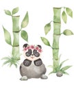 Watercolor hand drawn Cute Panda bear wild animal with flower wreath in cartoon style. card illustration with bamboo,sakura