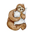 Watercolor hand drawn cute sleeping sloth with pillow isolated on white background