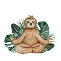 Watercolor hand drawn cute sloth with tropical leaves isolated on white background.