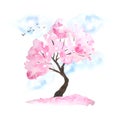 Watercolor hand drawn design illustration of pink cherry sakura tree in bloom blossom flowers, sky, birds, fallen petals Royalty Free Stock Photo