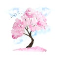 Watercolor hand drawn design illustration of pink cherry sakura tree in bloom blossom flowers, sky, birds, fallen petals Royalty Free Stock Photo