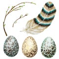 Watercolor hand drawn Easter eggs, bird Bright feather, willow tree branch with green leaves set. Illustration Design