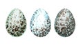 Watercolor hand drawn Easter eggs set. Colorful collection of different wild birds eggs isolated on a white background Royalty Free Stock Photo