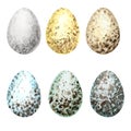 Watercolor hand drawn Easter eggs set. Colorful collection of different wild birds eggs isolated on a white background Royalty Free Stock Photo