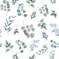 Watercolor hand drawn effect with leaves and herbs. Pattern seamless Royalty Free Stock Photo