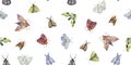 Watercolor hand drawn exotic butterflies and moths seamless pattern isolated on white background. Perfect for you unique