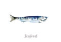 Watercolor hand drawn fish. fresh seafood illustration on white background Royalty Free Stock Photo