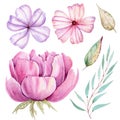 Watercolor Hand Drawn Floral Compositions for card making, paper, textile, printing, packaging