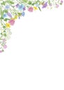 Watercolor hand drawn floral summer background with copy space and wild meadow flowers Royalty Free Stock Photo