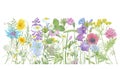 Watercolor hand drawn floral summer border with wild meadow flowers