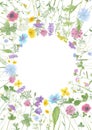 Watercolor hand drawn floral summer circle frame with copy space and wild meadow flowers Royalty Free Stock Photo