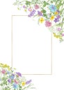 Watercolor hand drawn floral summer composition with  wild meadow flowers  and gold frame with copy space Royalty Free Stock Photo