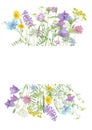 Watercolor hand drawn floral summer frame with copy space and wild meadow flowers and grass isolated on white background Royalty Free Stock Photo