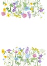 Watercolor hand drawn floral summer frame with copy space and wild meadow flowers Royalty Free Stock Photo