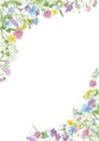 Watercolor hand drawn floral summer frame with copy space and wild meadow flowers clover, bluebell, cornflower, tansy, chamomile, Royalty Free Stock Photo