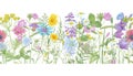 Watercolor hand drawn floral summer seamless border with wild meadow flowers clover, bluebell, cornflower, tansy, chamomile, cow