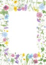 Watercolor hand drawn floral summer square frame with copy space and wild meadow flowers Royalty Free Stock Photo