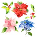 Watercolor hand drawn flowers with foliage and