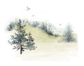 Watercolor hand drawn forest delicate illustration of coniferous trees spruce, pine, fir, foggy landscapes, silhouette Royalty Free Stock Photo