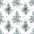 Watercolor hand drawn forest seamless pattern with delicate illustration of coniferous trees spruce, fir, pine, birds Royalty Free Stock Photo