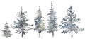 Watercolor hand drawn forest set with delicate illustration of coniferous trees spruce, fir, pine, foggy landscapes Royalty Free Stock Photo