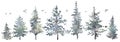 Watercolor hand drawn forest set with delicate illustration of coniferous trees spruce, fir, pine, foggy landscapes Royalty Free Stock Photo