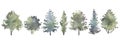 Watercolor hand drawn forest set with delicate illustration of different types of deciduous and coniferous trees, spruce Royalty Free Stock Photo