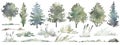 Watercolor hand drawn forest set with delicate illustration of different types of deciduous, coniferous trees, spruce