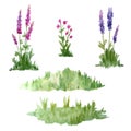 Watercolor hand drawn forest wildgreen grass flowers. Eco Natural organic ecological illustration for healthy labels