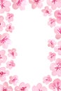 Watercolor hand drawn frame page template with pink cherry sakura flowers blossom bloom. Japanese Chinese Asian plant