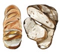 Watercolor French Bread Loafs Baguette Set Illustration