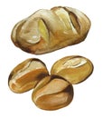 Watercolor French Bread Loafs Baguette Set Illustration