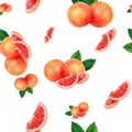 Watercolor hand drawn fresh grapefruit seamless pattern. Royalty Free Stock Photo