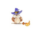 Watercolor hand drawn funny witch owl  illustration isolated on white background Royalty Free Stock Photo