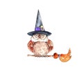 Watercolor hand drawn funny witch owl illustration isolated on white background